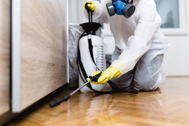 Best Termite Control Services  in Wyong, MI
