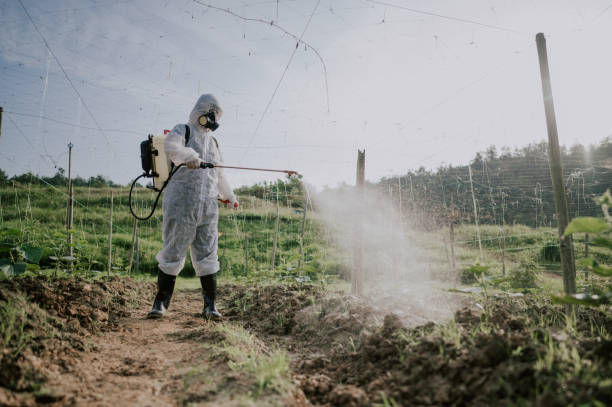 Best Pest Prevention Services  in Wyong, MI