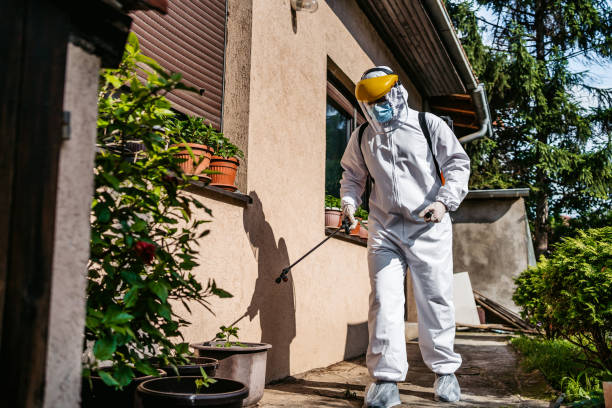 Best Bed Bug Extermination  in Wyong, MI