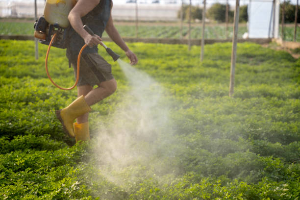 Best Best Pest Control Companies  in Wyong, MI