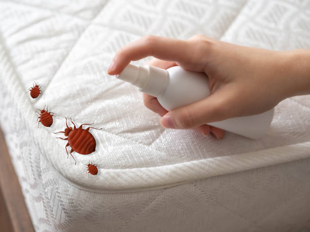 Best Affordable Pest Control Services  in Wyong, MI