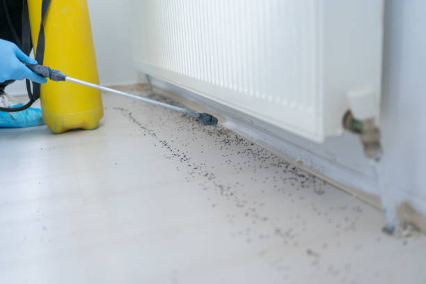 Trusted Wyoming, MI Pest Control Experts