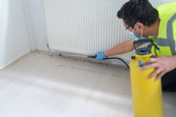 Best Commercial Pest Control Services  in Wyong, MI