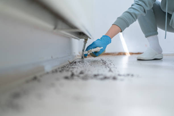 Best Wildlife Control Services  in Wyong, MI