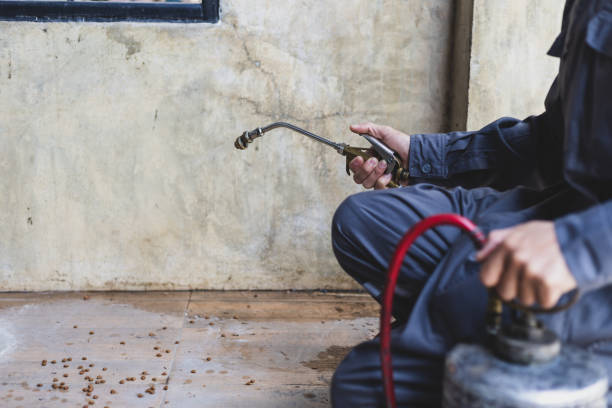 Best Pest Inspection Near Me  in Wyong, MI